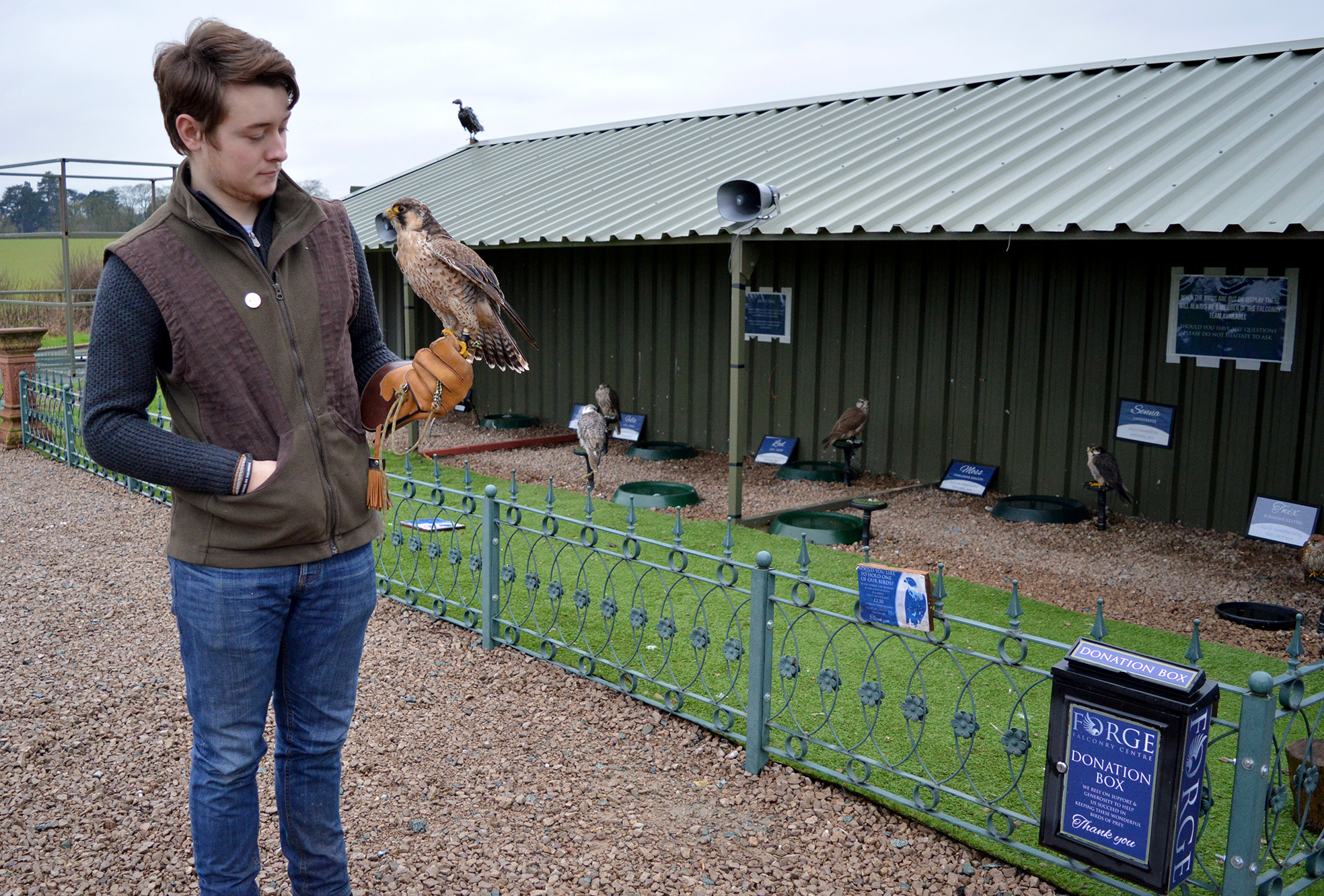 George work experience