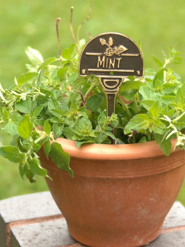 Solid Brass Herb Sign