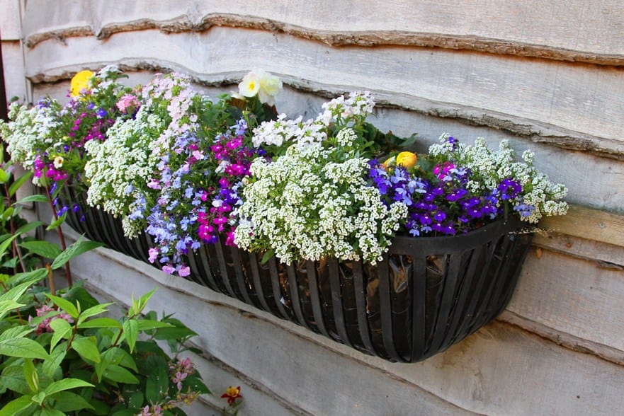 'Southlands' Deluxe Hay feeder Style Garden Planter