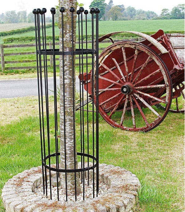 'Titan' Black Tree Guard