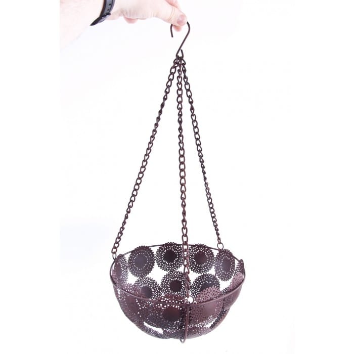 Sun Kissed Hanging Planter