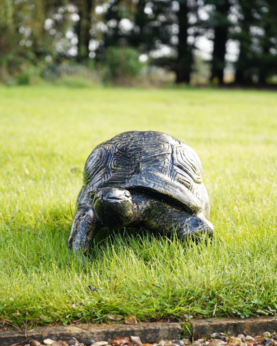 'Speedy' The Black & Gold African Tortoise Aluminium Garden Sculpture