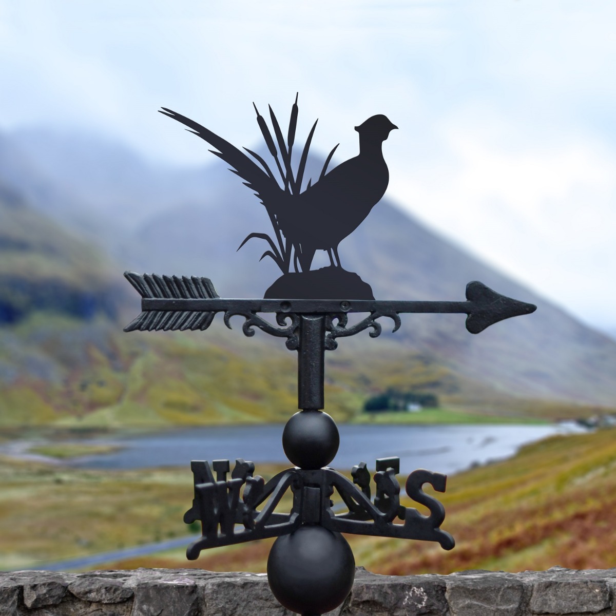 The Forge Pheasant Iron Weathervane