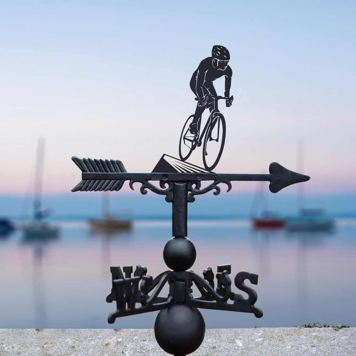 The Forge Cyclist Iron Weathervane