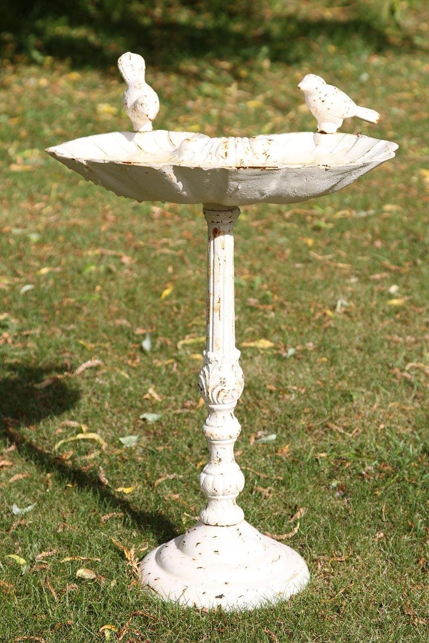 Marie Bird Bath & Bird feeder