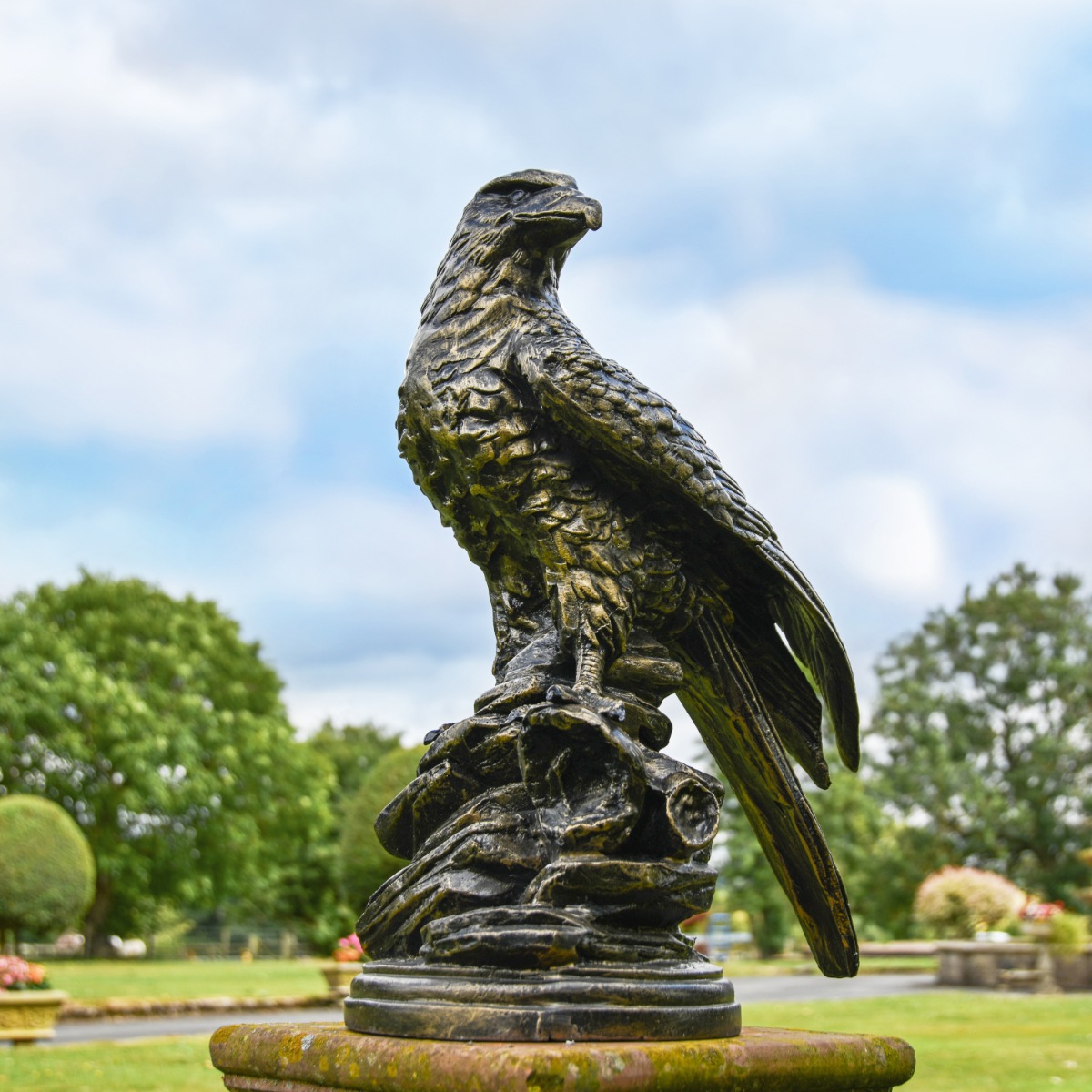 Dominant Eagle on Rocks