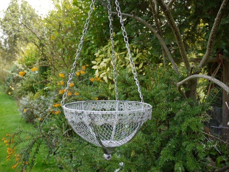 'Lilly Ann' Hanging Basket