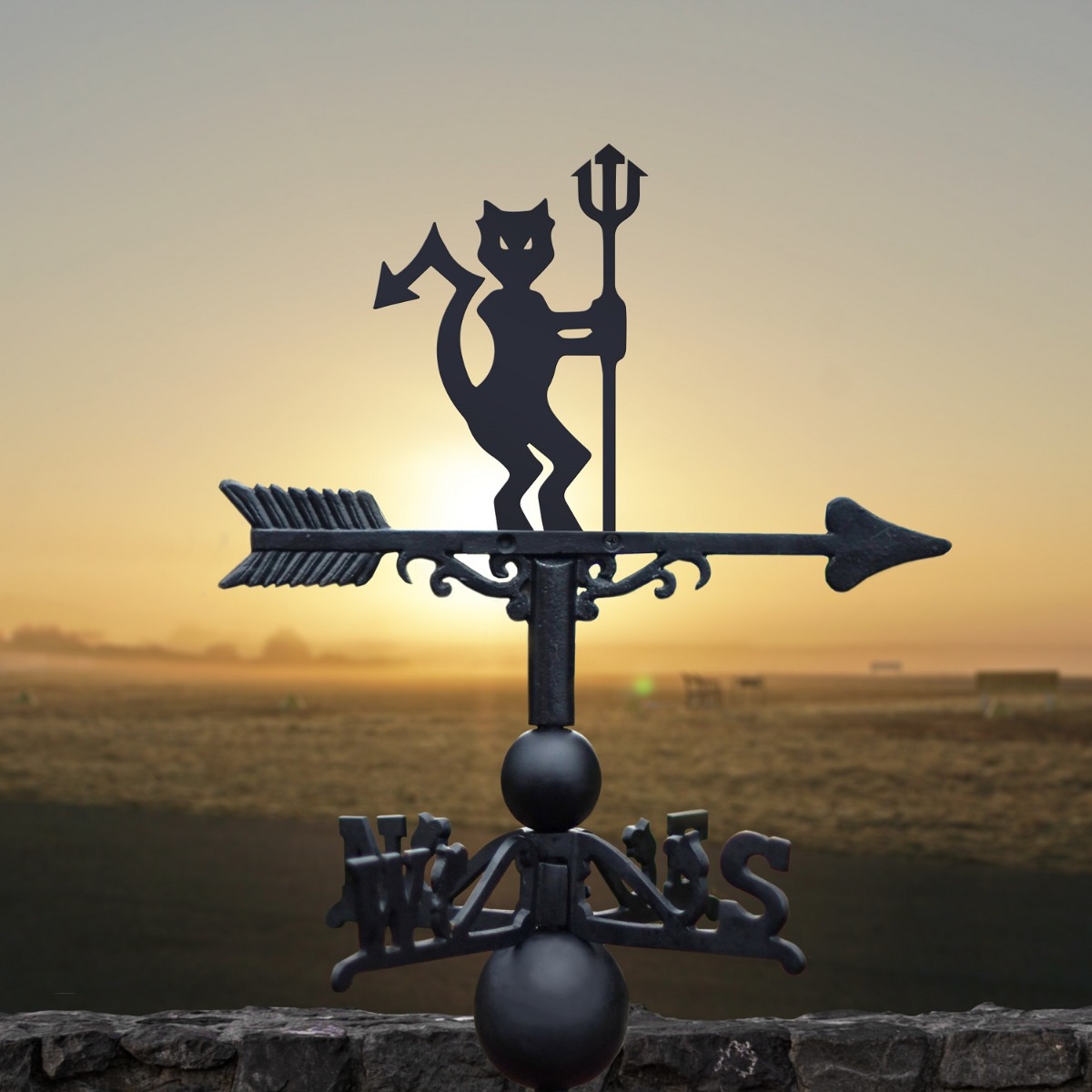 Cast Iron & Steel Devil Weathervane