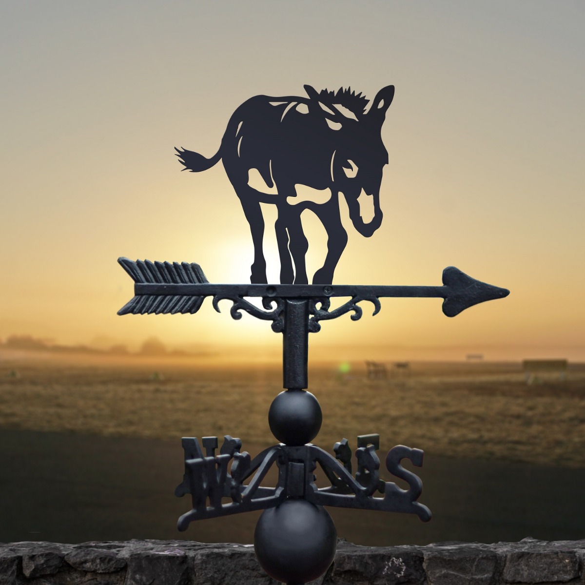 Cast Iron & Steel Donkey Weathervane
