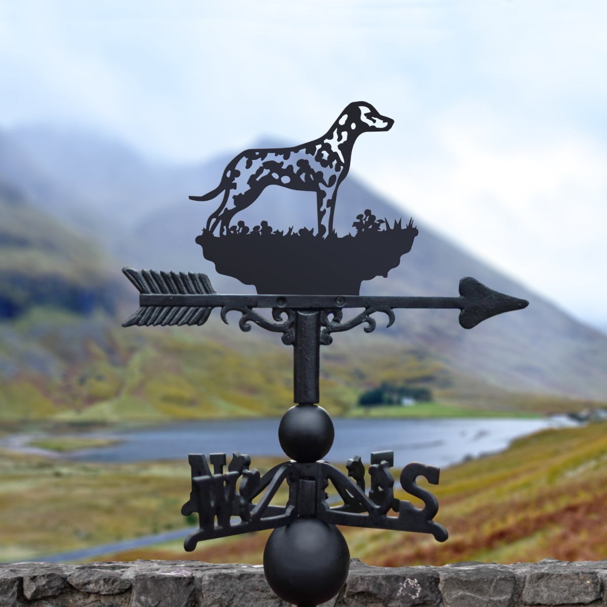 Cast Iron & Steel Dalmation Weathervane