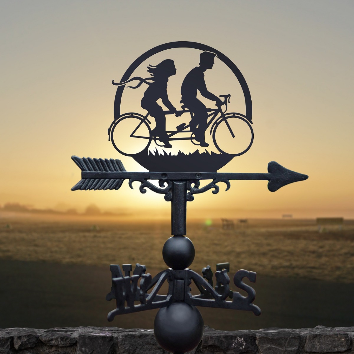Cast Iron & Steel Tandem Bike Weathervane