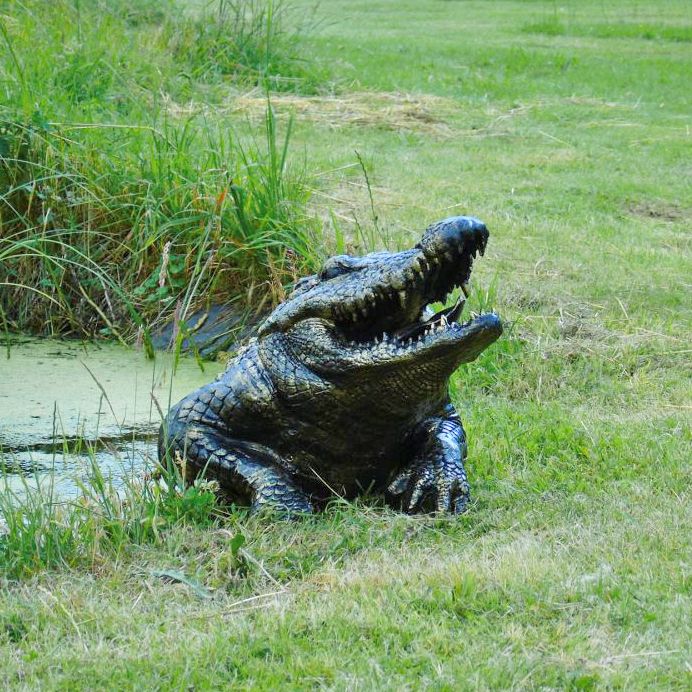 Cast Aluminium Half Crocodile Garden Sculpture