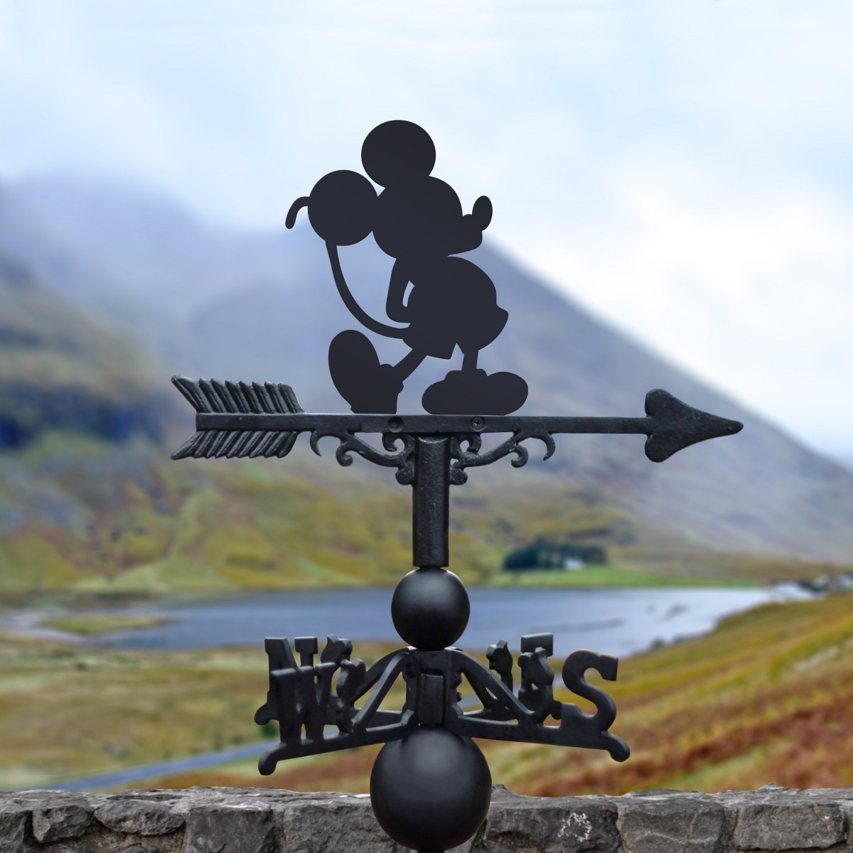 Cast Iron & Steel Cartoon Mouse Weathervane