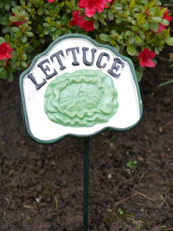 Cast Iron Hand Painted Lettuce Sign