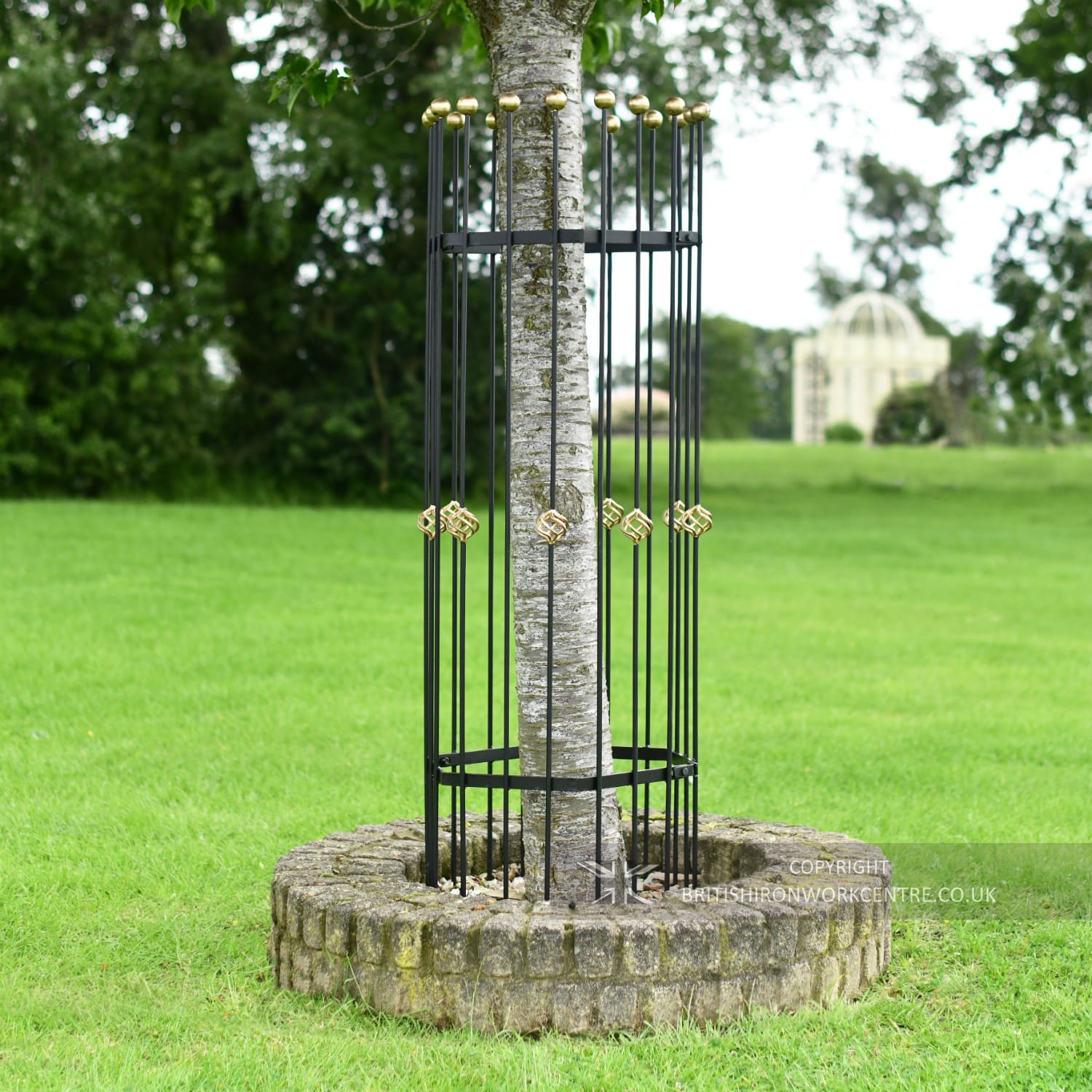 'Ares' Black Hexagonal Iron Tree Gua…