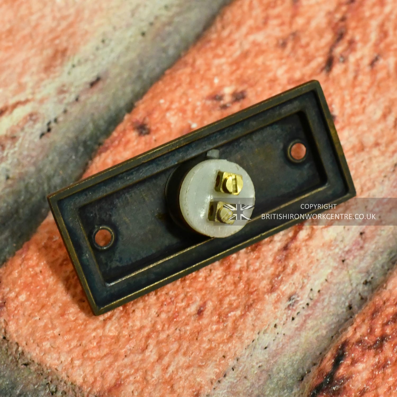 "Waddesdon Manor" Satin Chrome Classic Bell Push - Rear of Push