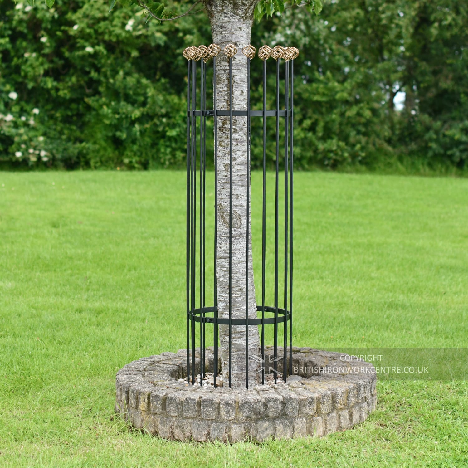 'Zeus' Black and Gold Iron Tree Guard