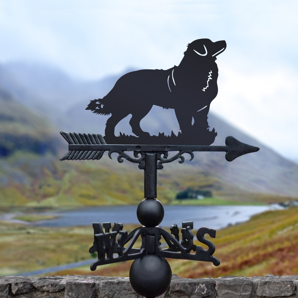 The Forge Bernese Mountain Dog Iron Weathervane