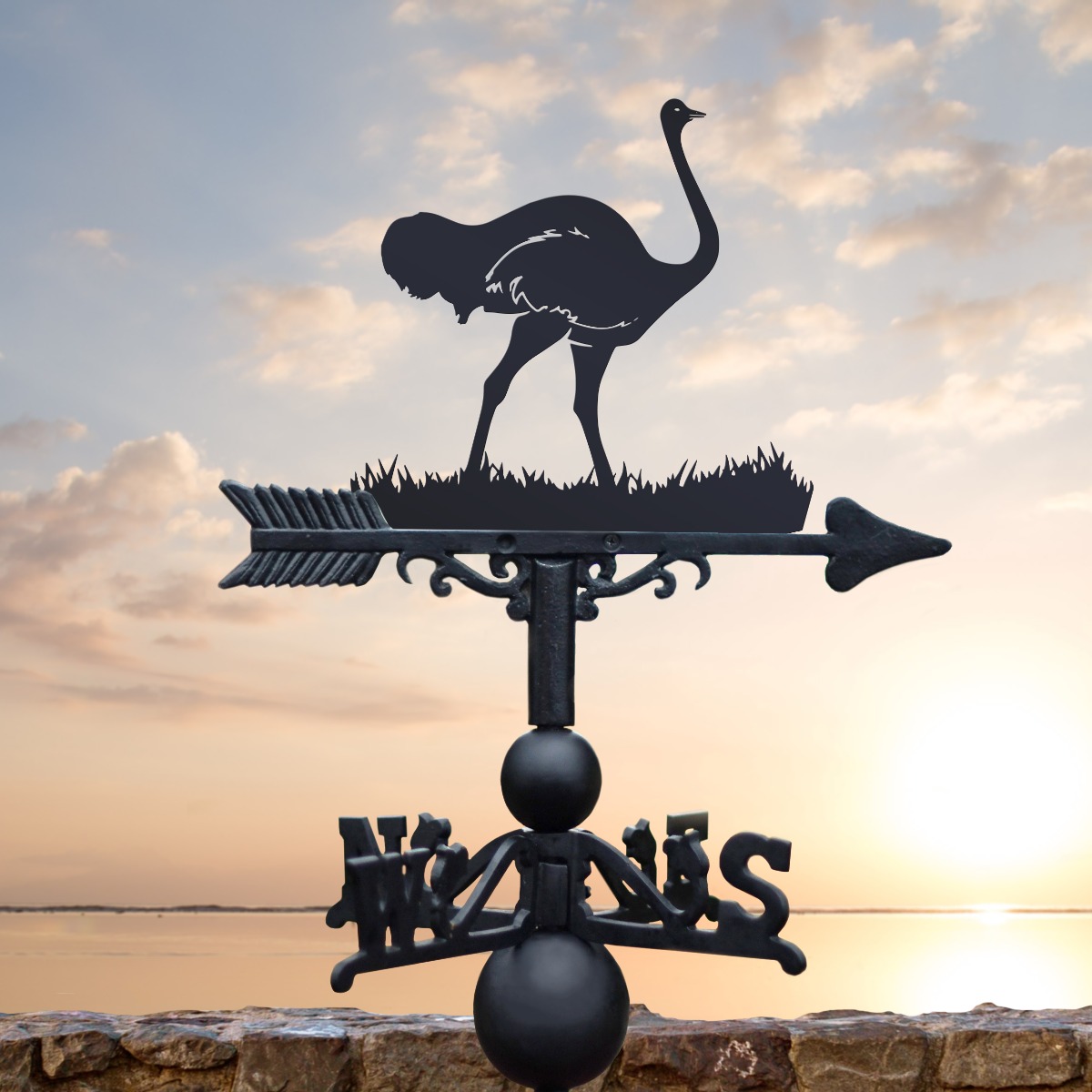 The Forge Ostrich Iron Weathervane