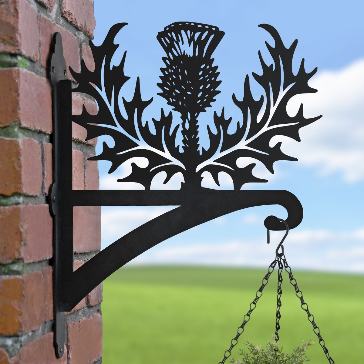 Steel Scottish Thistle Hanging Basket Bracket