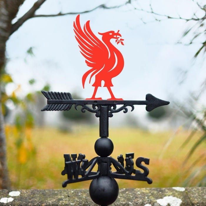Cast Iron & Steel Red Liver Bird Weathervane