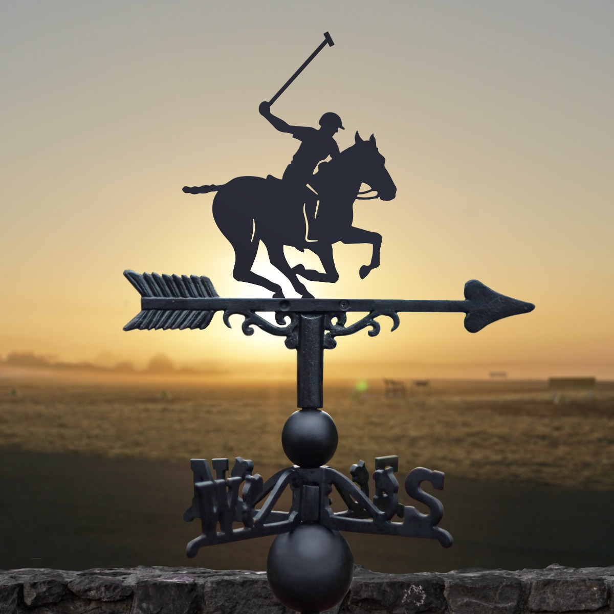 Polo Weathervane