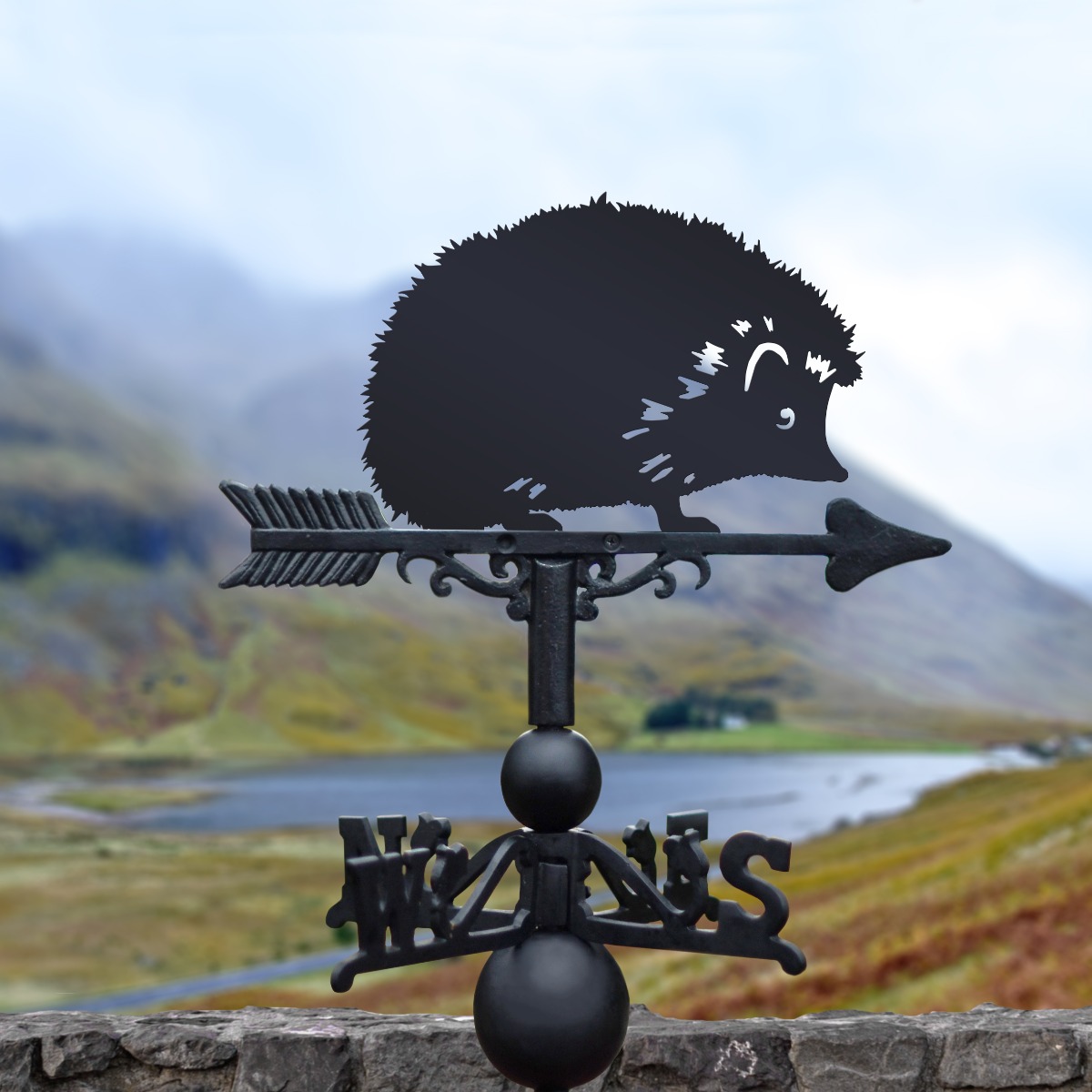 Cast Iron & Steel Hedgehog Weathervane
