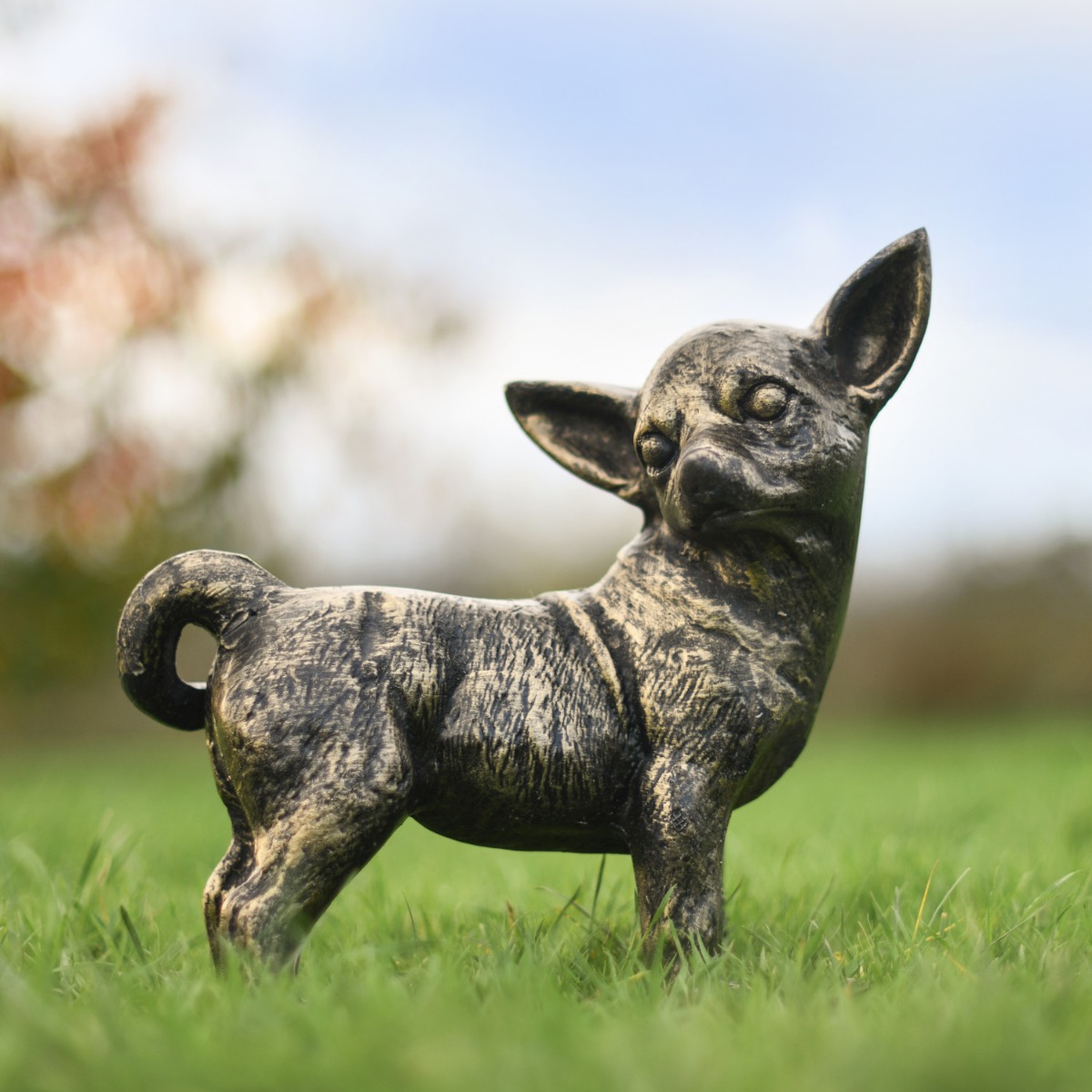 Antique 'Bear' Gold Chihuahua Garden Sculpture