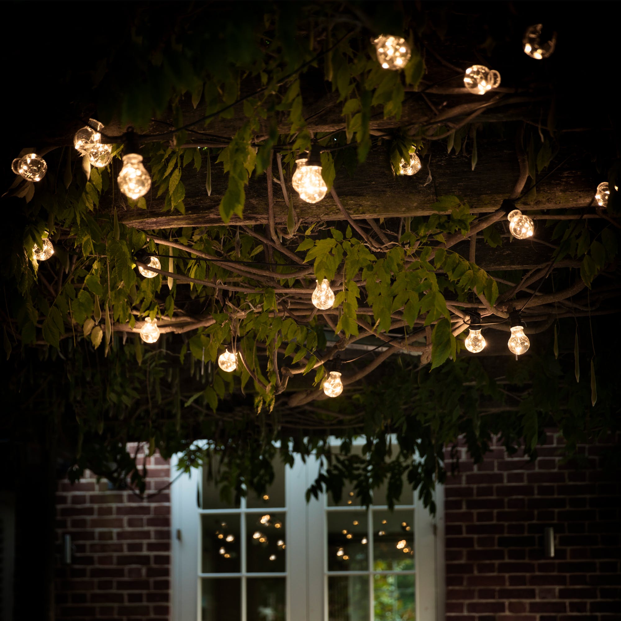 Hanging Bulb Lights - 20 Lights