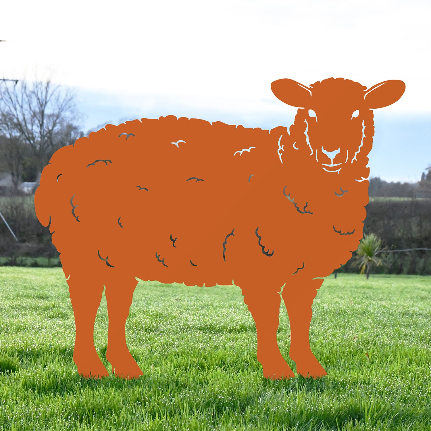 Orange Curly Sheep Iron Silhouette