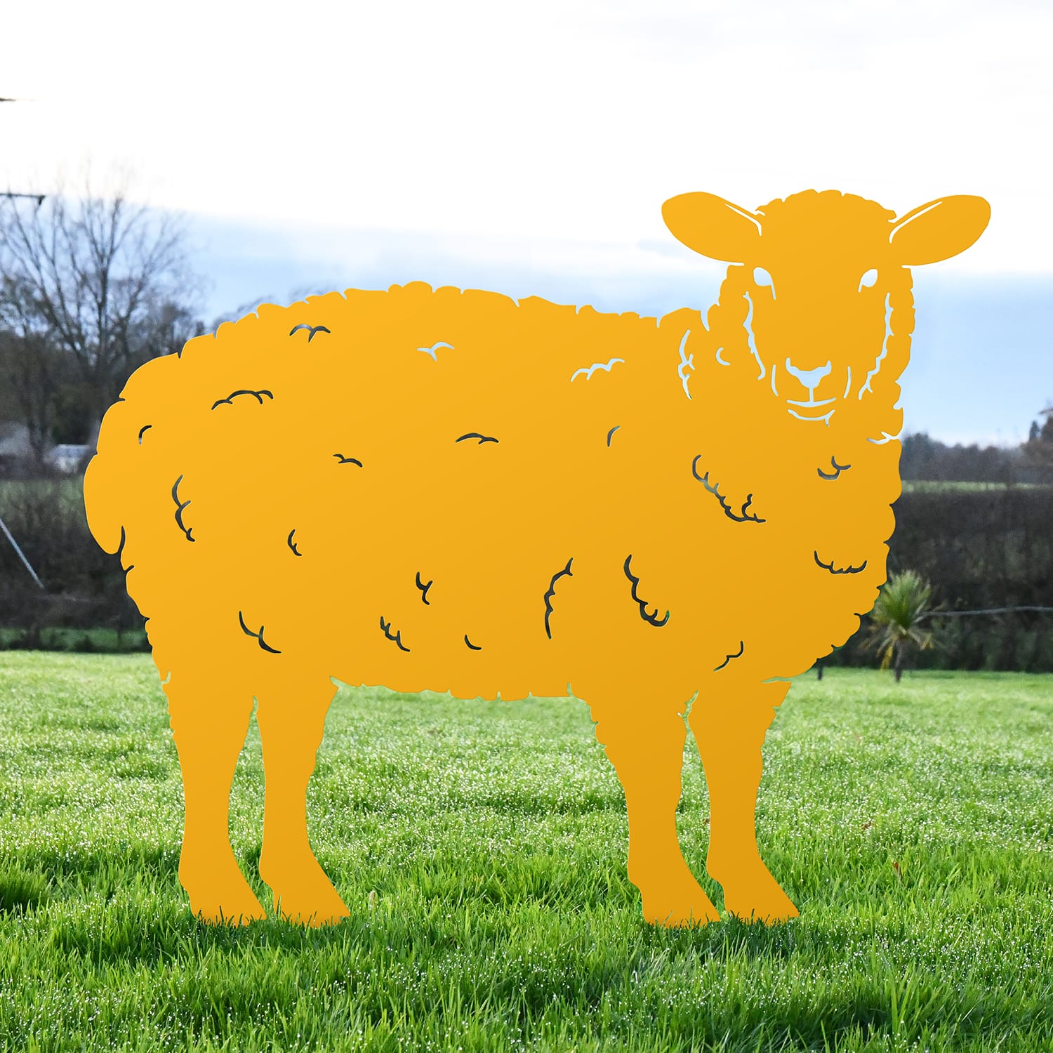 Yellow Curly Sheep Iron Silhouette