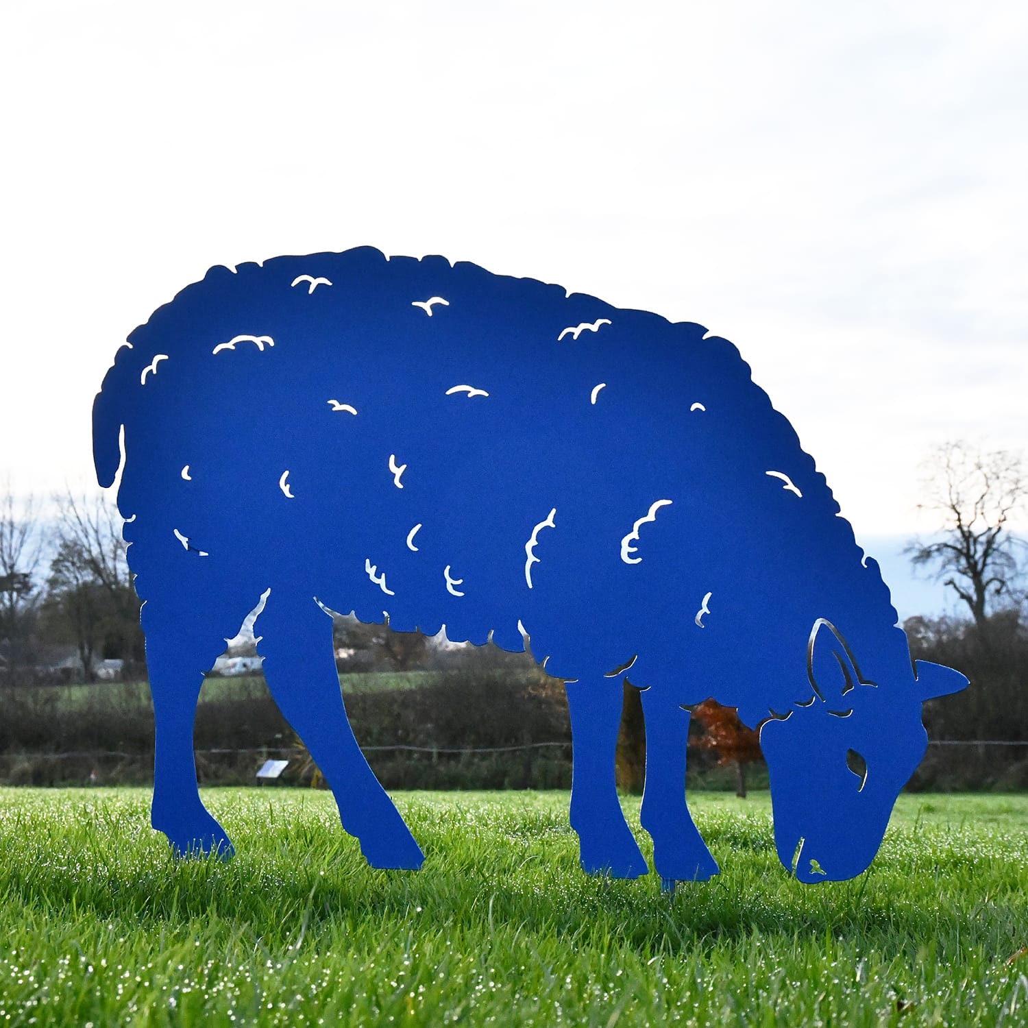 Blue Ewe Sheep Feeding Silhouette
