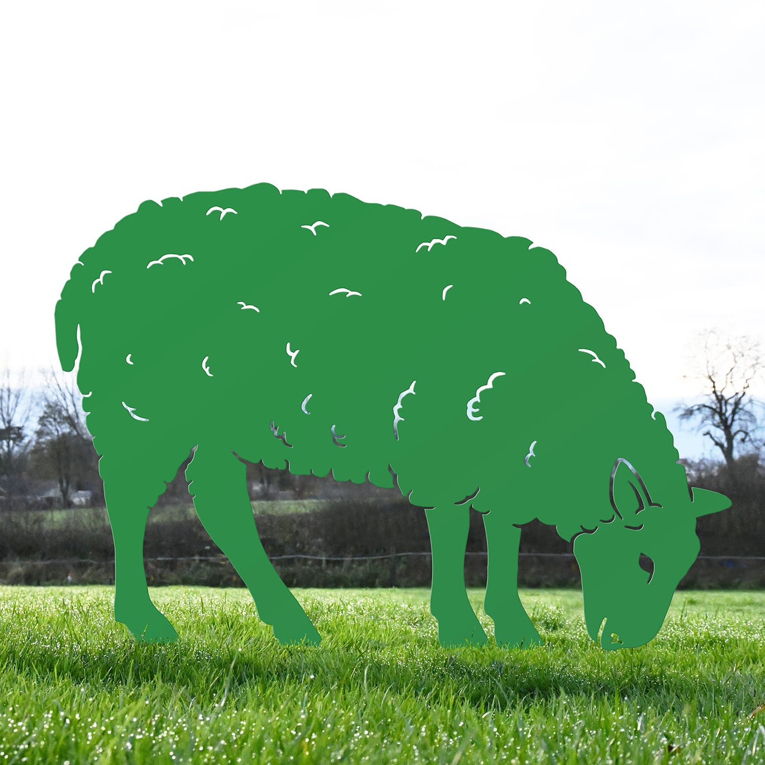 Green Ewe Sheep Feeding Silhouette