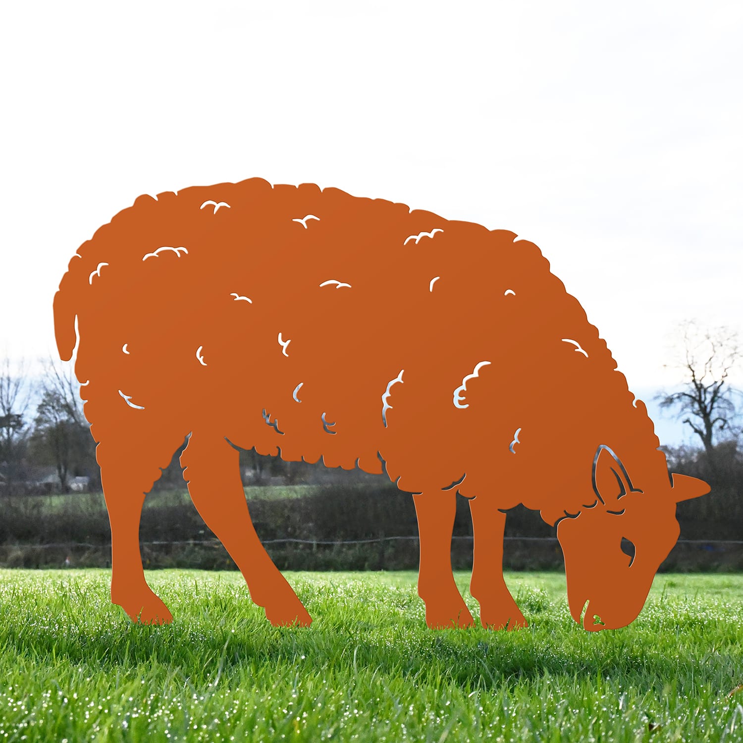 Orange Ewe Sheep Feeding Silhouette