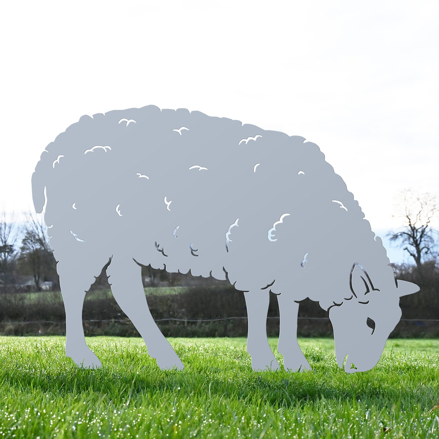 Silver Ewe Sheep Feeding Silhouette