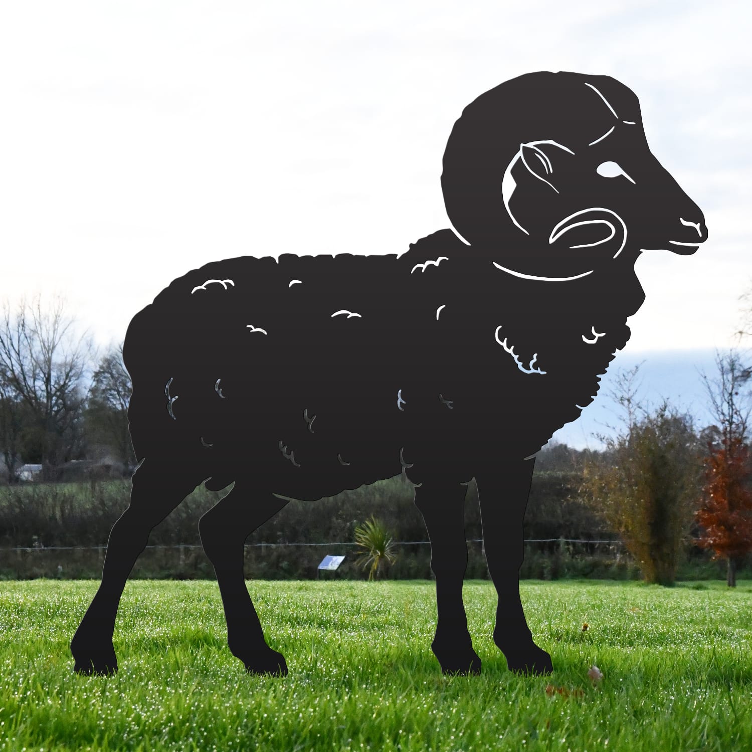 Black Ram Silhouette