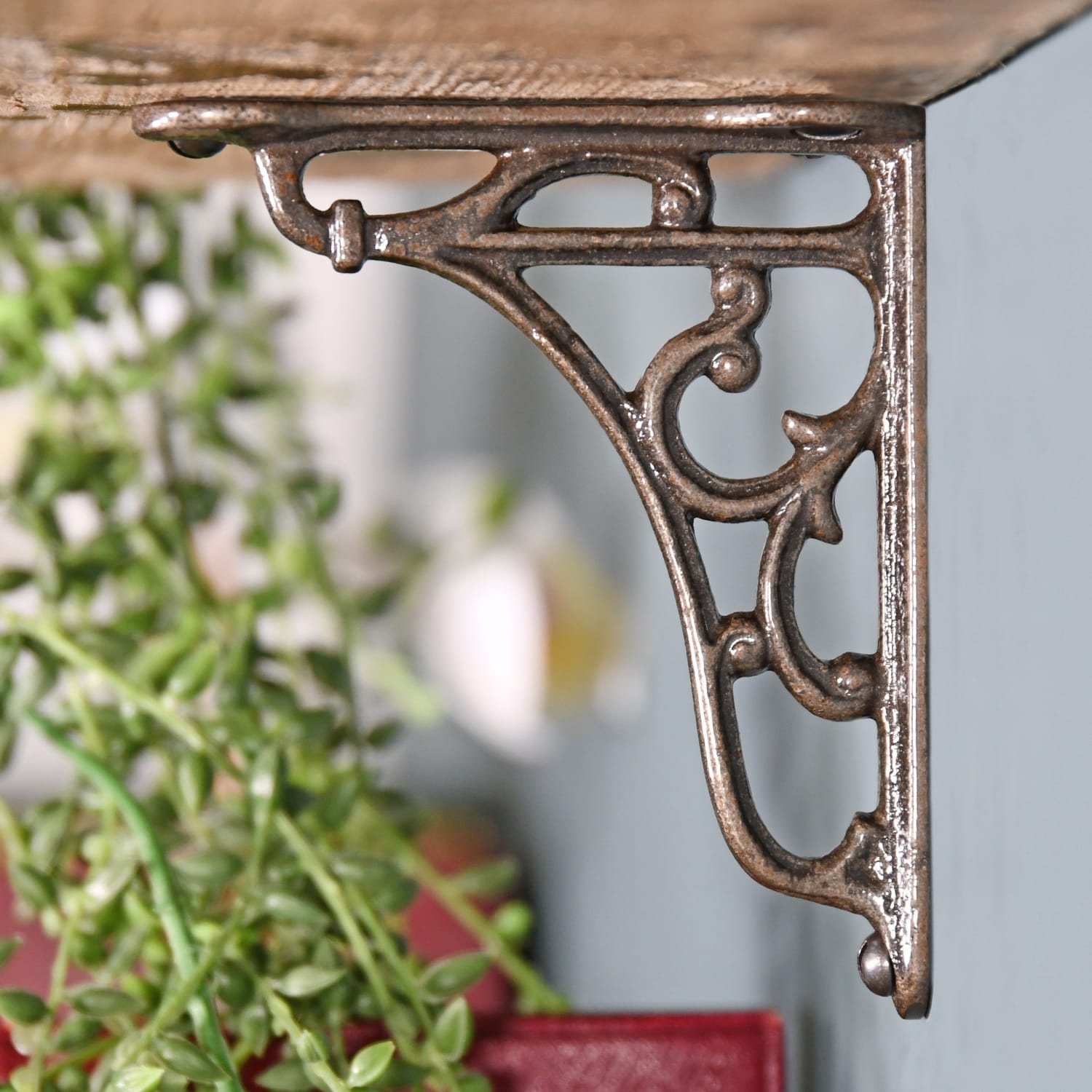 Antique Iron 'Vines' Wall Bracket 15 x 15cm