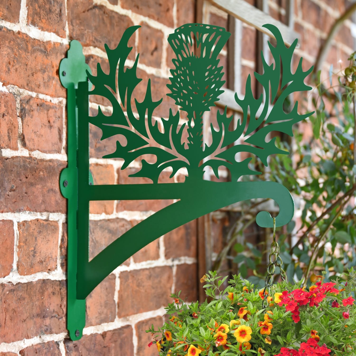 Green Thistle Iron Hanging Basket Bracket