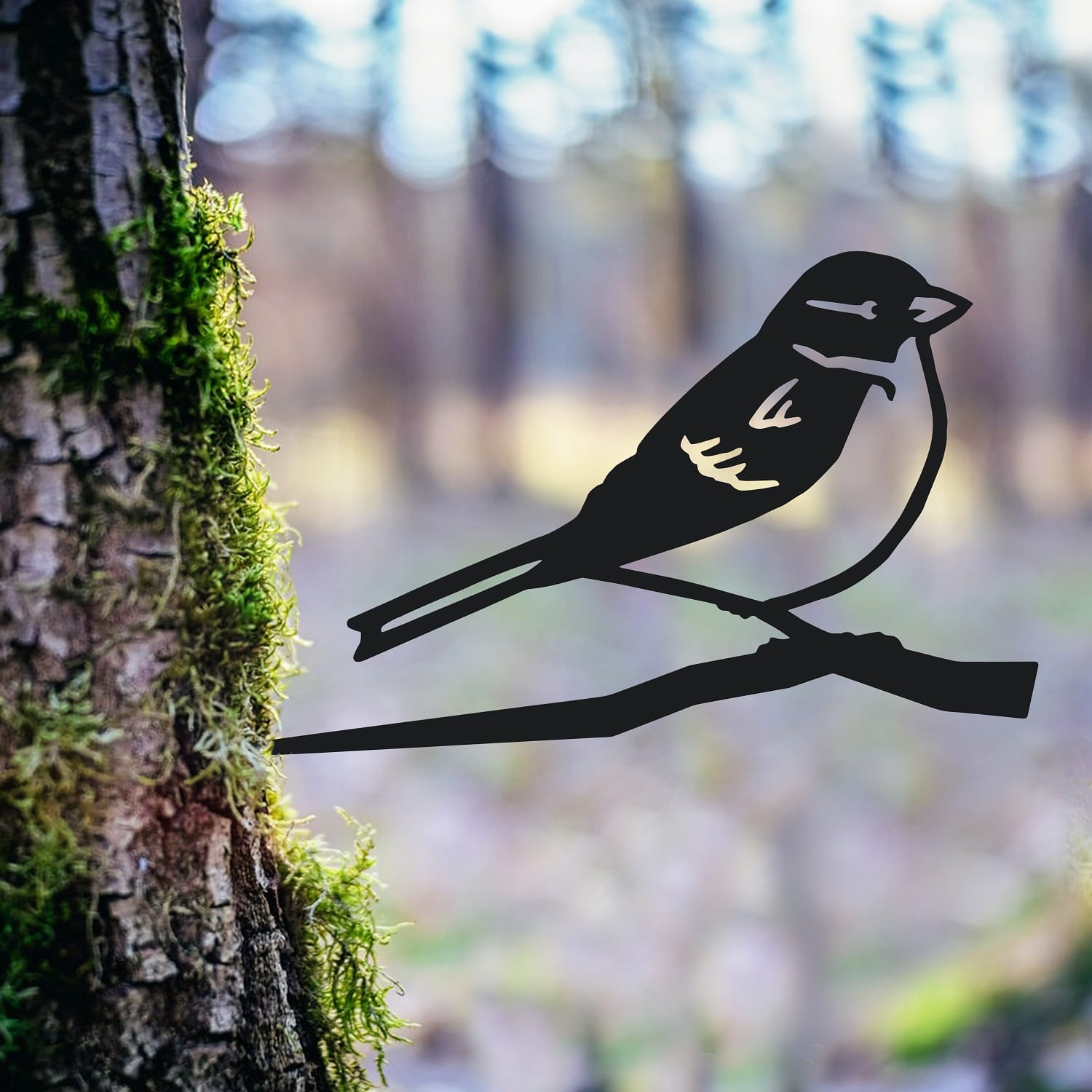 House Sparrow Tree Spike