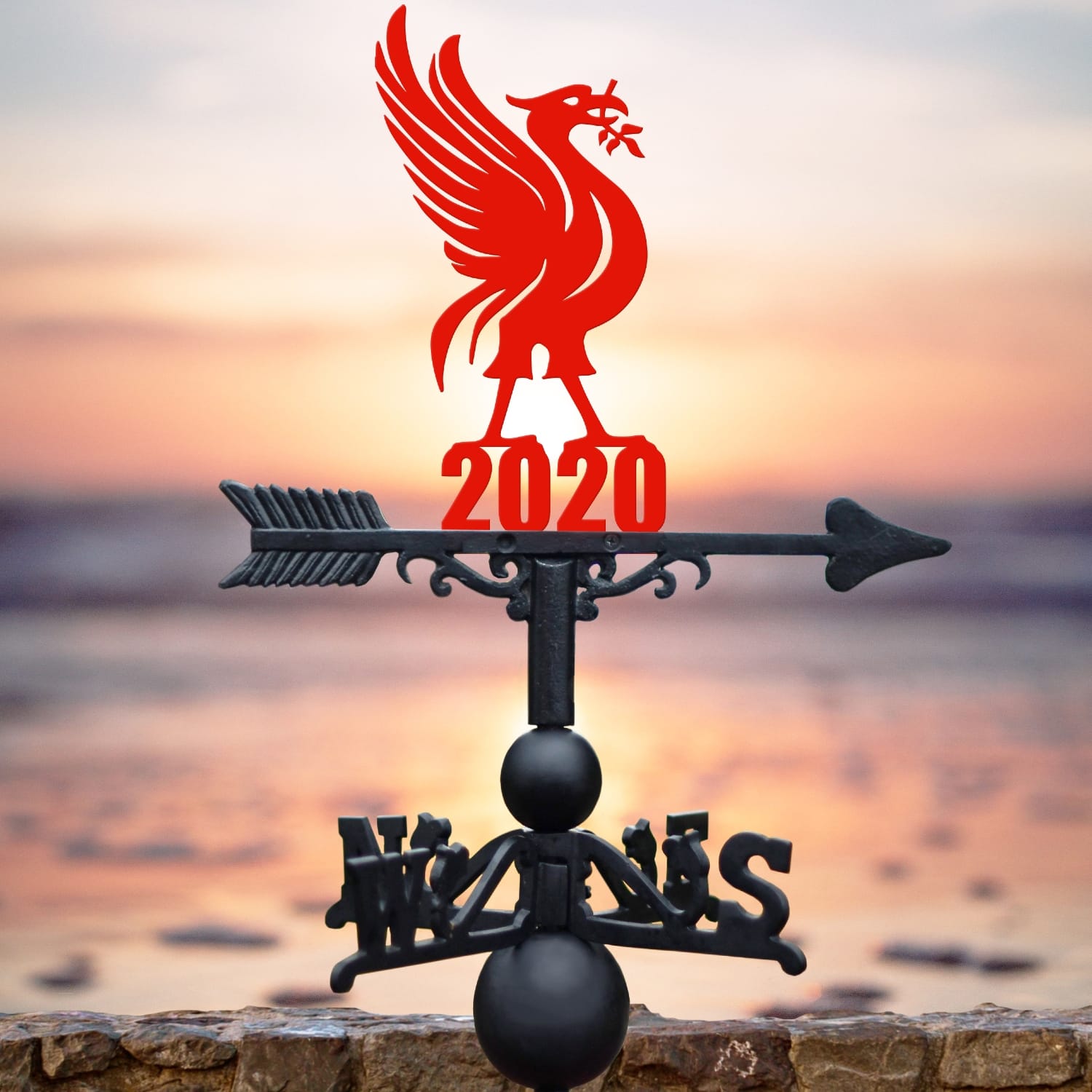 Red Liver Bird 2020 Weathervane
