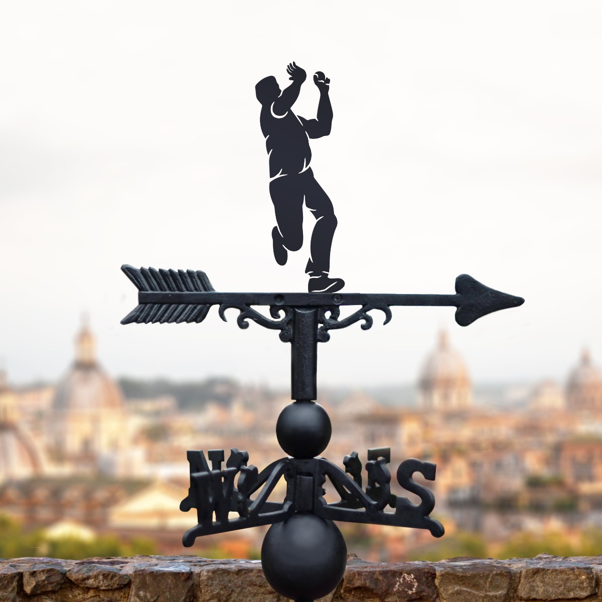Cast Iron & Steel Cricket Bowler Weathervane