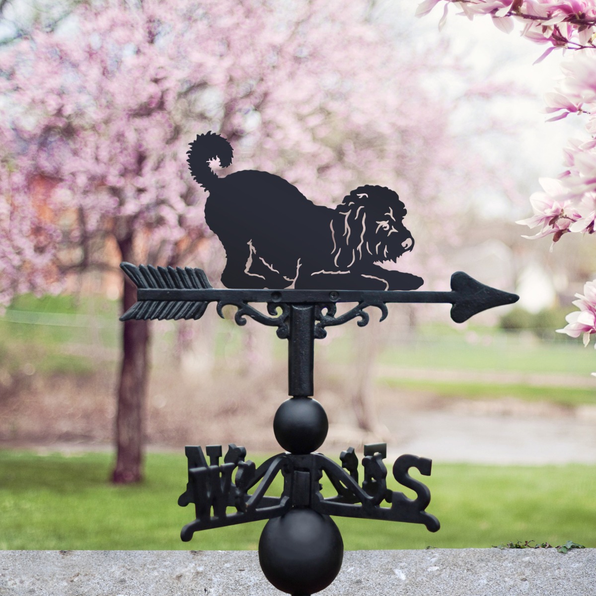 Cast Iron & Steel Playful Cockapoo Weathervane