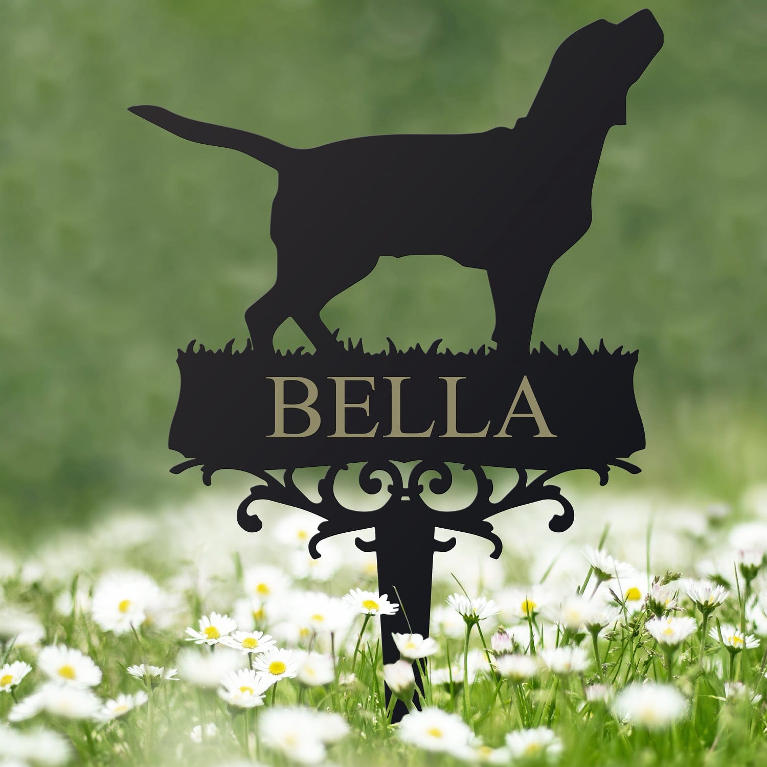 Beagle Memorial Ground Spike