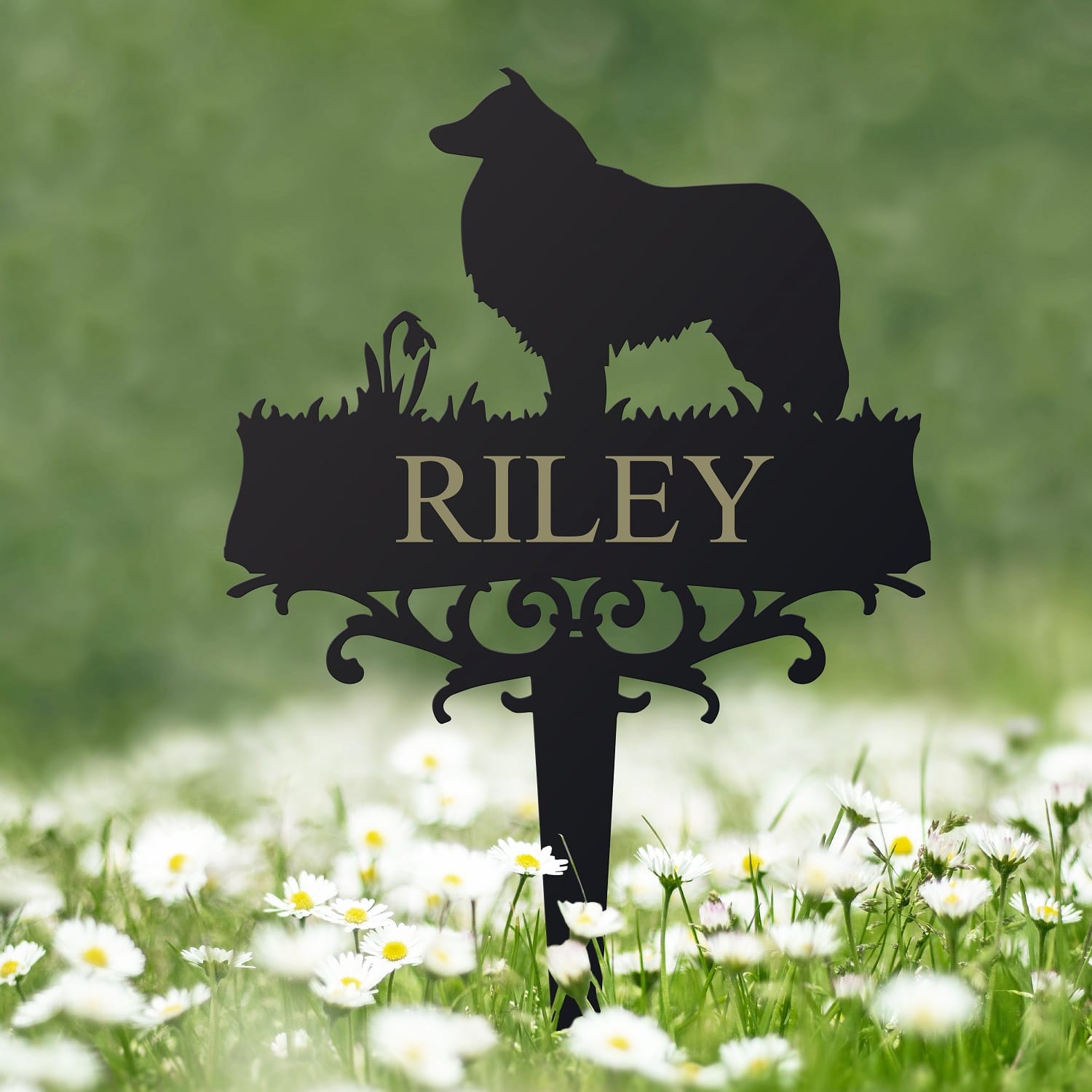 Rough Collie Memorial Ground Spike