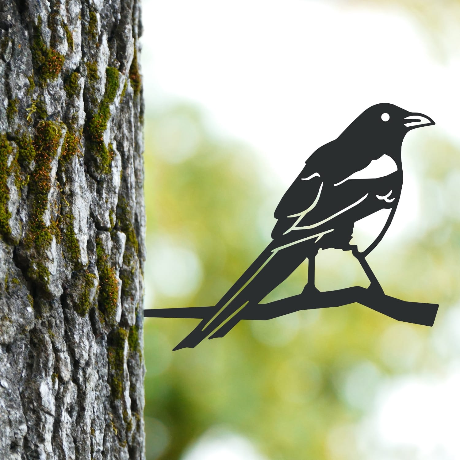 Magpie Tree Spike