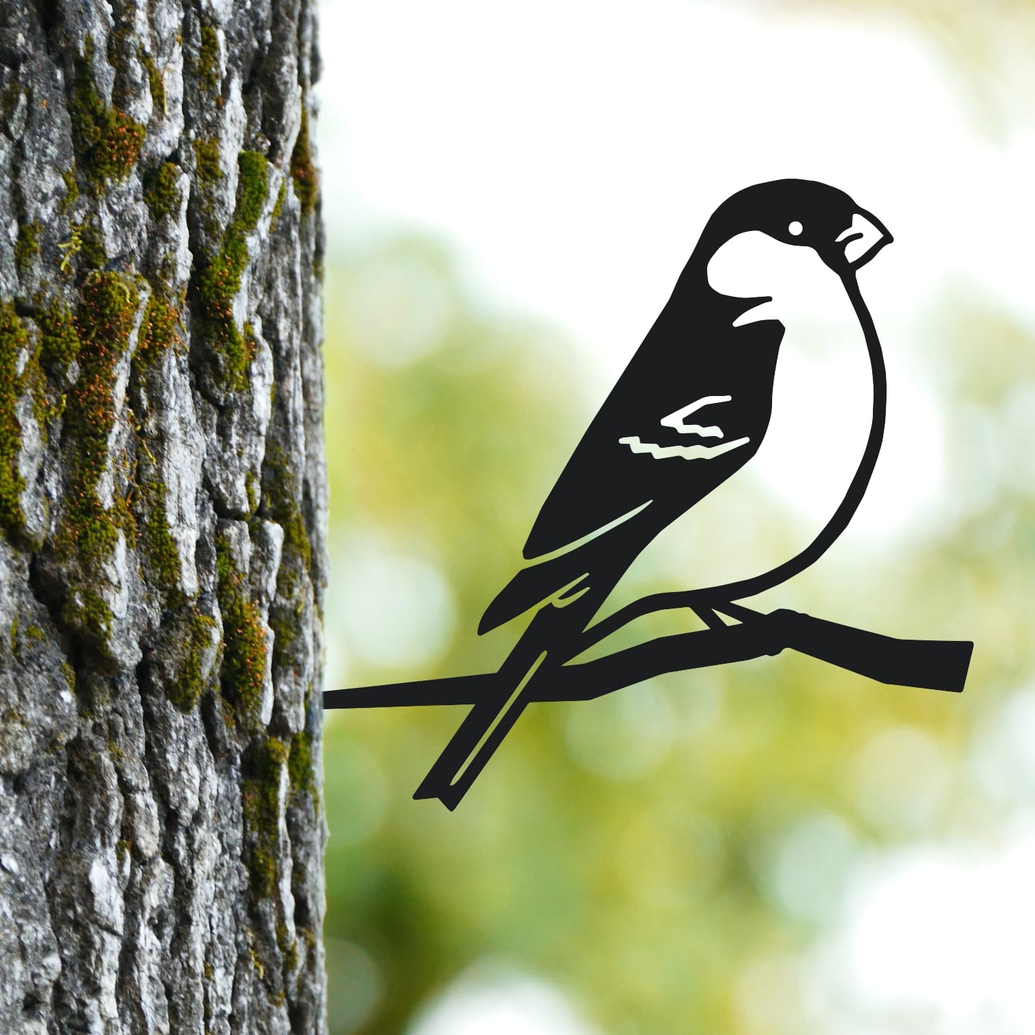 Bullfinch Tree Spike