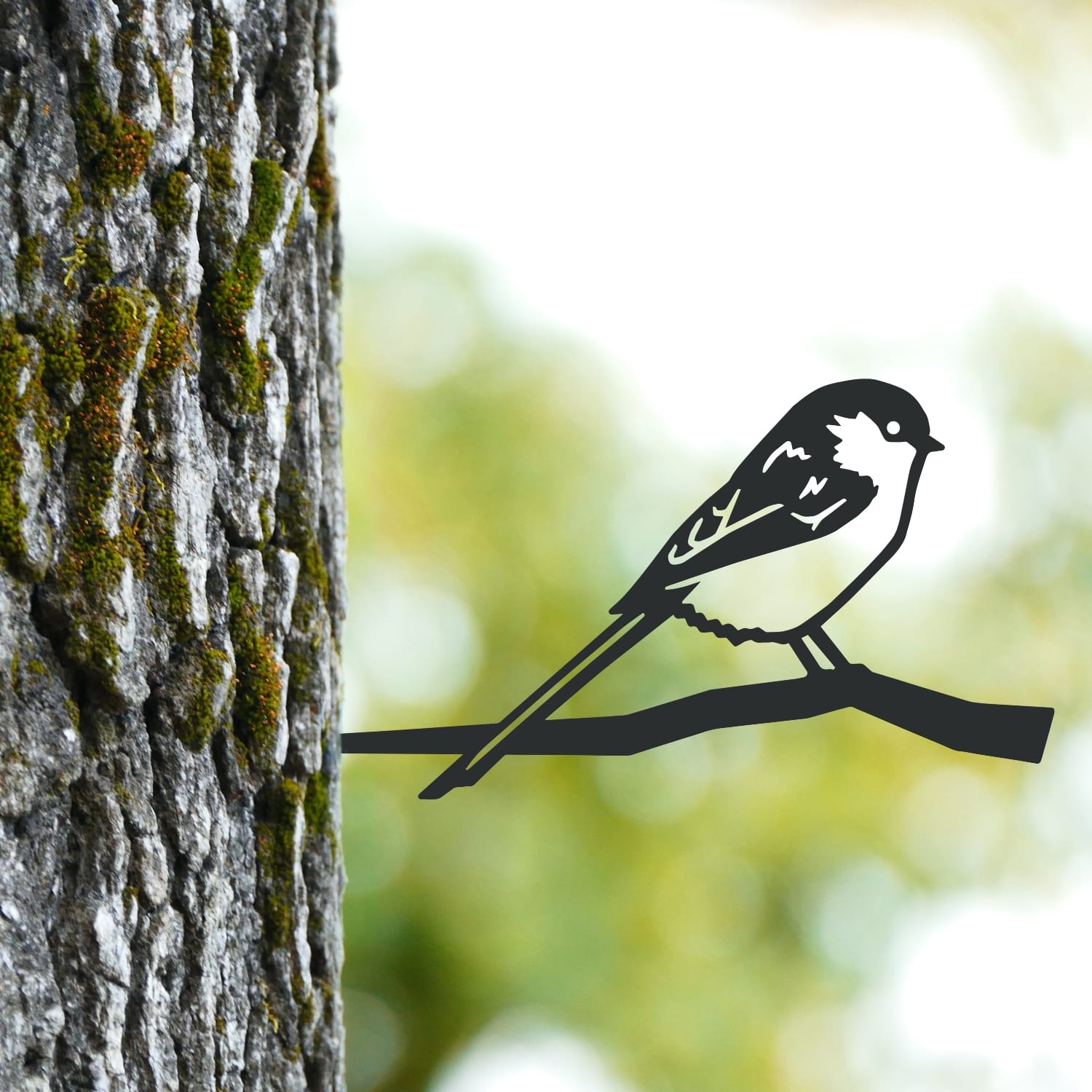 Long-Tailed Tit Tree Spike