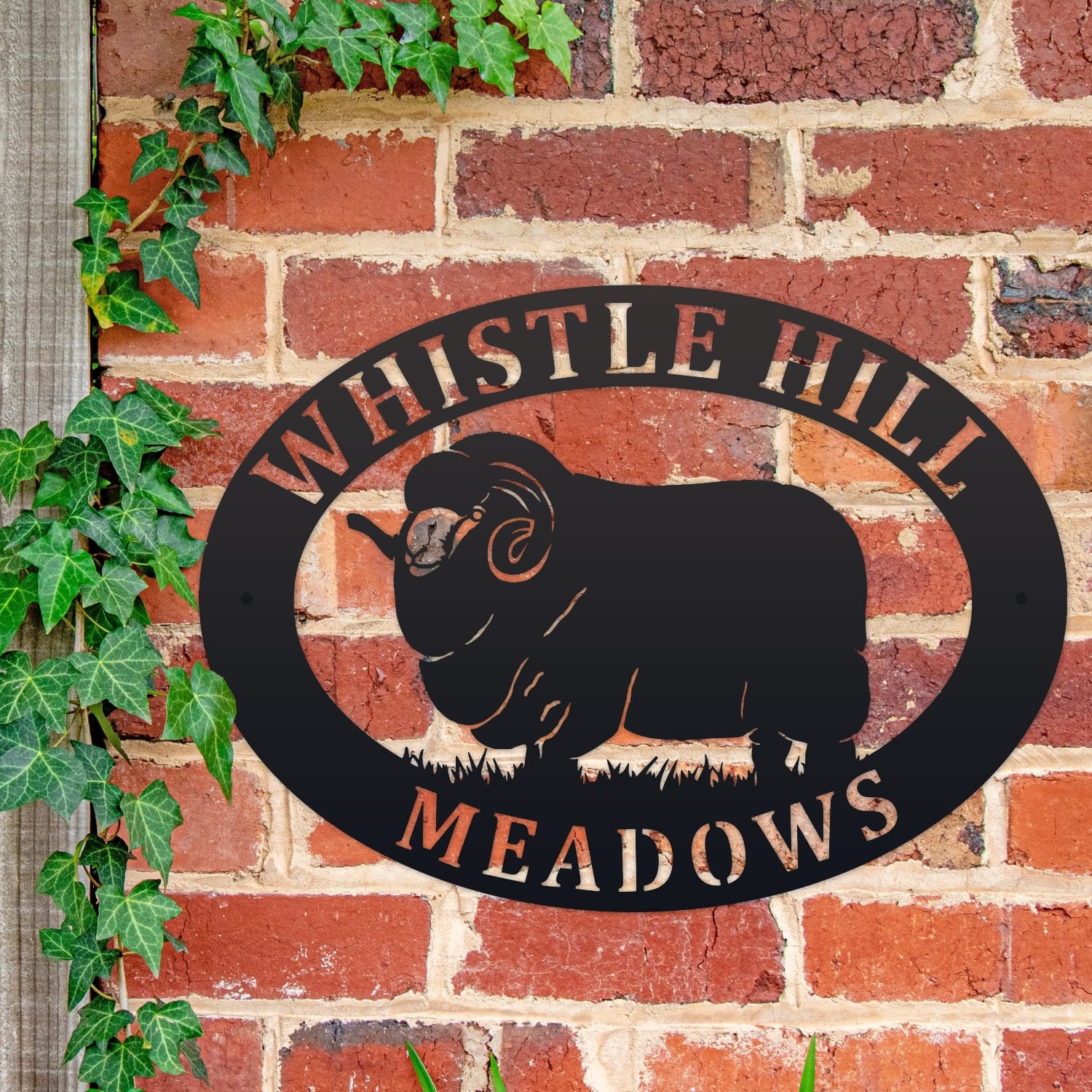 Merino Sheep Oval House Name Sign