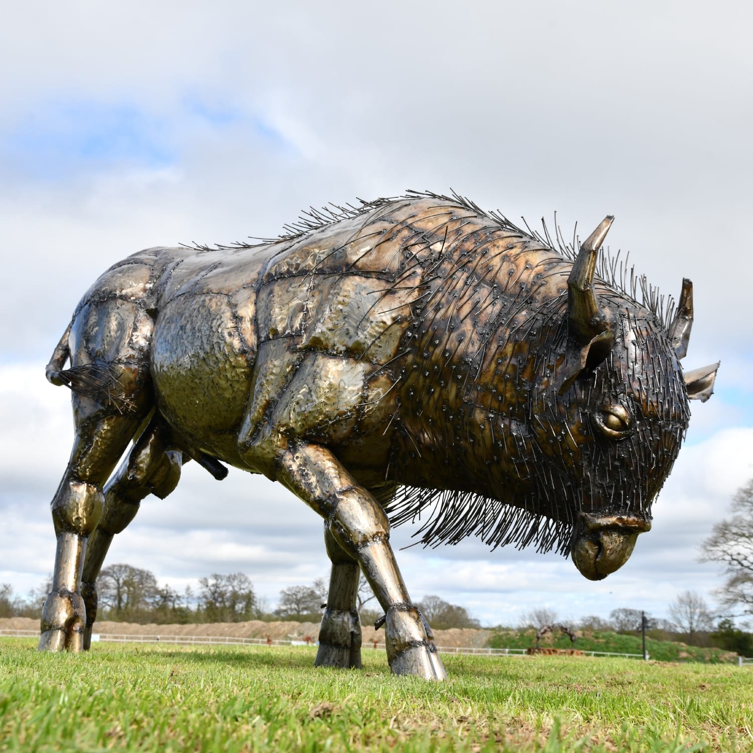 Large Recycled Oil Drum Bison Garden Sculpture