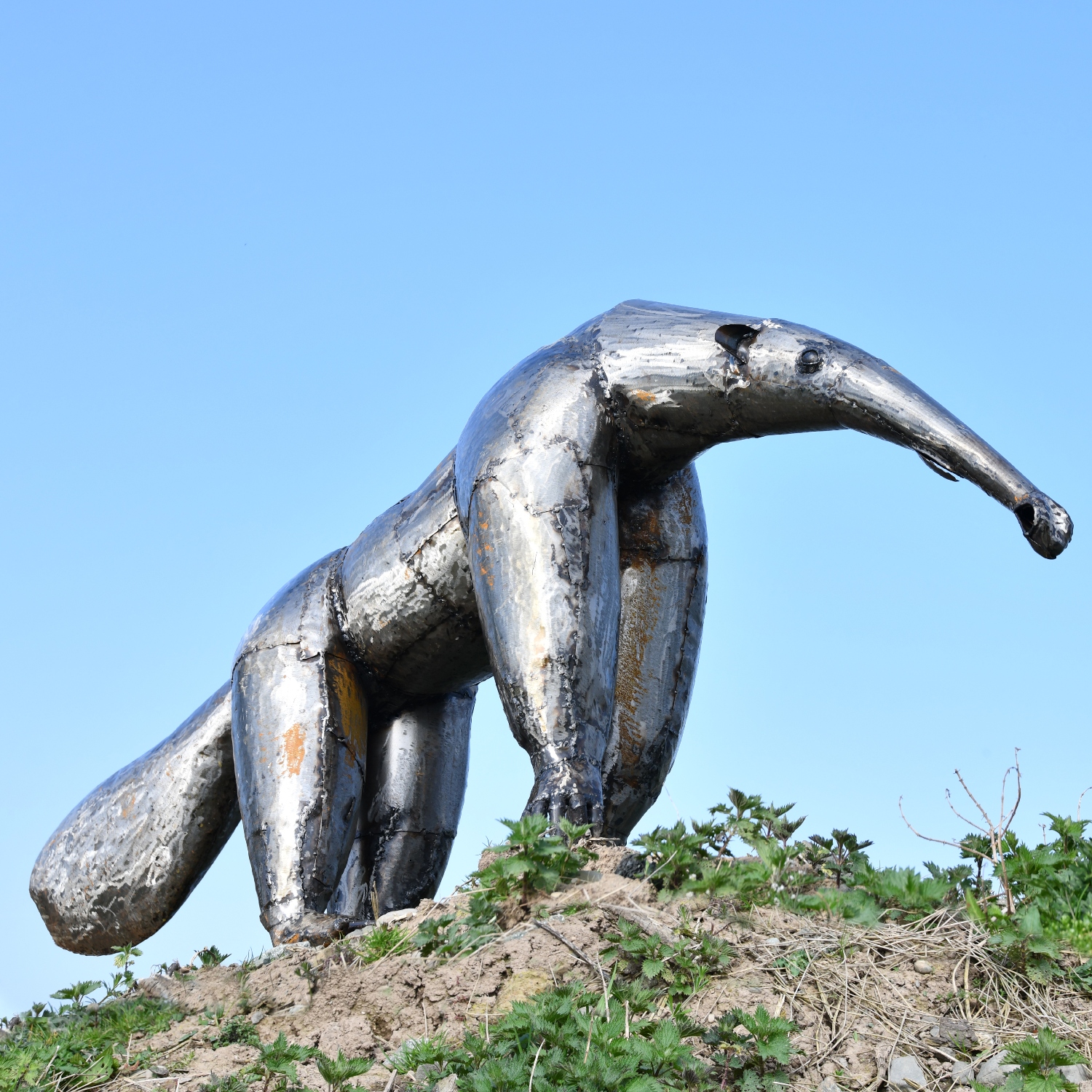 Recycled Oil Drum Anteater Garden Sculpture